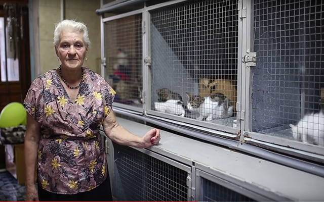 Как отметил день рождения приют для животных в Бендерах