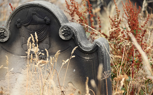 Право несовершеннолетних на наследство