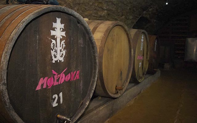 Взаимодействие туристического бизнеса двух берегов Днестра