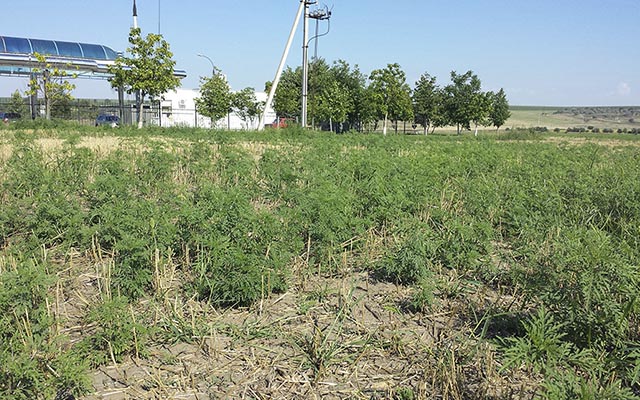 Когда природа против нас