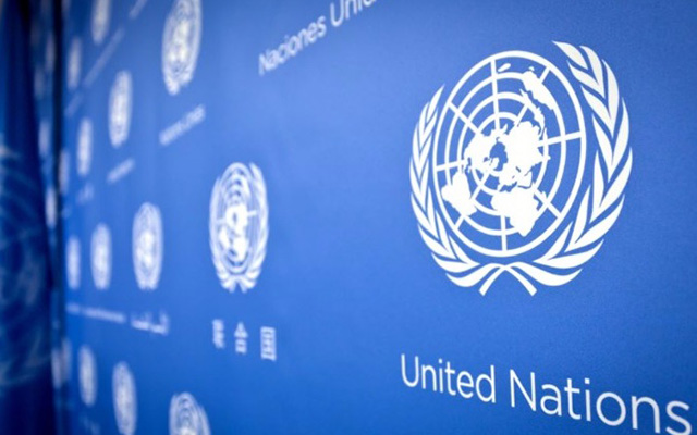 Программа Развития Организации Объединенных Наций объявляет конкурс малых грантов