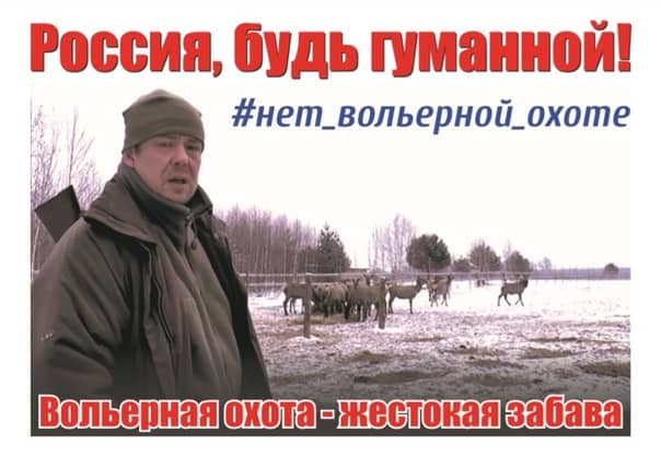 Плакат, с которым Дмитрий Белоусов пекитировал консульство РФ