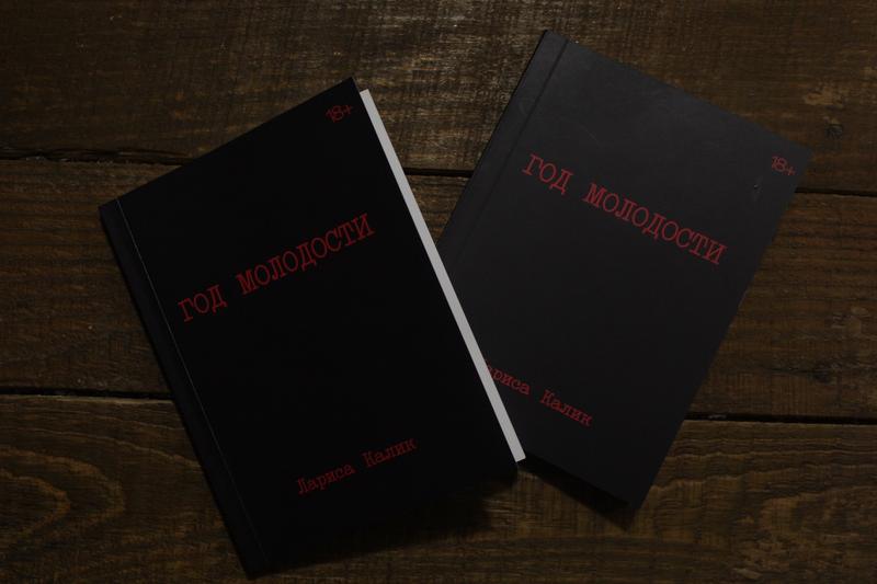 «Публичные призывы к осуществлению экстремистской деятельности». В отношении Ларисы Калик возбудили уголовное дело